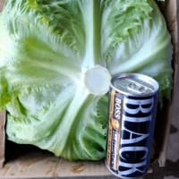 直売所初出荷