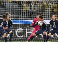 サッカーW杯