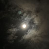 夜半の月かな