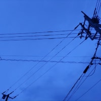 荒れてきたよ