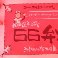 石垣島キャンプを見てきました！