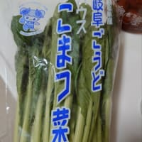 今日いち-2025年5月25日