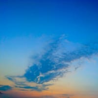 夜明け前　7月1日