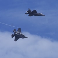 F-35がバリバリでしたが、１機は全く別物だ（20250602-④）