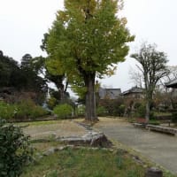 06/22奈良京都への旅-10（明日香村⑤：橘寺訪問、）