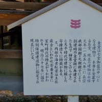 高知県南国市、国分「四国八十八ヶ所第２９番・国分寺（こくぶんじ）」です！！