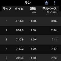 軽めの調整（ラン５ｋｍ、スイム５００ｍ）