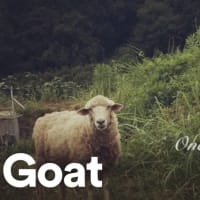 Goat の曲をSpotify で聴いて頂けます