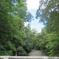 凡のひとりごと　　　伊勢参り　内宮