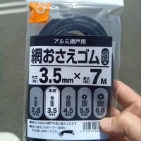 今日は休養日。