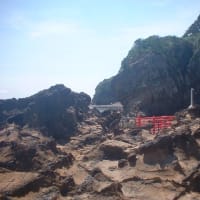 海