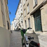 レンタル自転車に挑戦