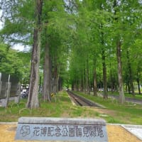 鶴見緑地公園