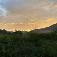 今日もいい天気