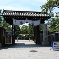 京都　青モミジ100シリーズの風神雷神図の建仁寺