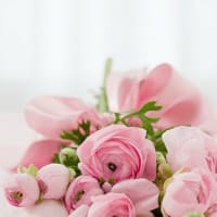 強風の1日