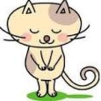 翔愛の回復と「Ｙ公園レスキュー募金」の中間報告