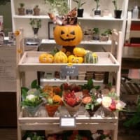 自分のお店（Jii-fiorista)