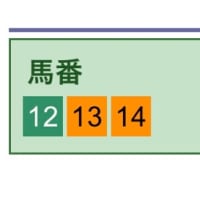 青葉賞の惜しい！予想