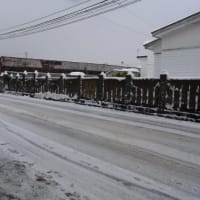 今朝の道路