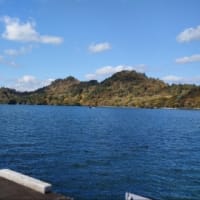 十和田の紅葉