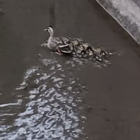 気になることが解決した