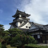 高知県に行きました。