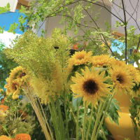 久しぶりにお洒落な切り花専門店へ🌼