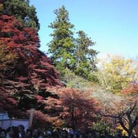 照る山、紅葉♪♪♪ 今月２回目の面会です。元気な声を聞けました！良かった〓(^_^)