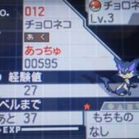 ポケモンbw2 色違いチョロネコ Room Of Accyu