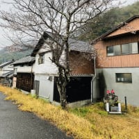 高知県いの町(19番目の新蔵元)川澤酒造_山に雲が_ザアアザアア@西寅
