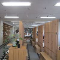 自由に生きていくということ・・・自由人、人生を楽しむ！お楽しみは、これからだ！自由に生きていくということは人生を楽しむこと