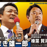 だから、一旦、党首やめて、ほとぼり冷めたら復帰しなよ。