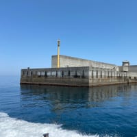 【浜田 馬島 タイコ】痛恨バラシ