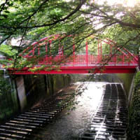 目黒川の赤い橋 Upsee