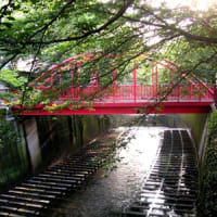 目黒川の赤い橋 Upsee 目黒川の赤い橋 Upsee