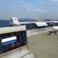 琵琶湖大橋を歩きました