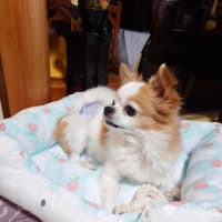 ええ事と悪い事！