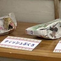 名古屋市港防災センターの方が、カトー折りワークショップを開催！