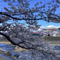 丸子公園へ🚗