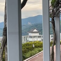 足湯は、気持ちよかった