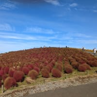 12月は旅行(予定)無し