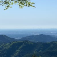 登山　子の権現〜高畑山（埼玉県飯能市）