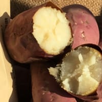 焼き芋通信