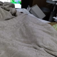 昼間　きれいにあかるい　はれ　おひさま