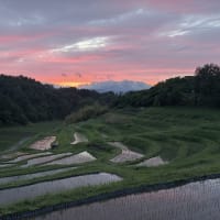 ◆  夕焼け
