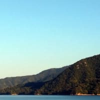 厳島の紅葉