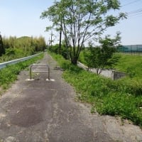 １０年ぶりの大仏鉄道４