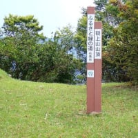 【登山】　硯上山　2025.06.19