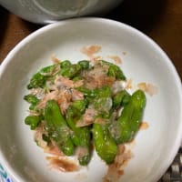 おろし冷しゃぶサラダ
